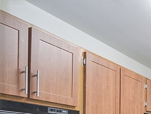 kitchen Fully-Equipped Kitchen Black Refrigerator with Ice Maker - Photo Gallery 5