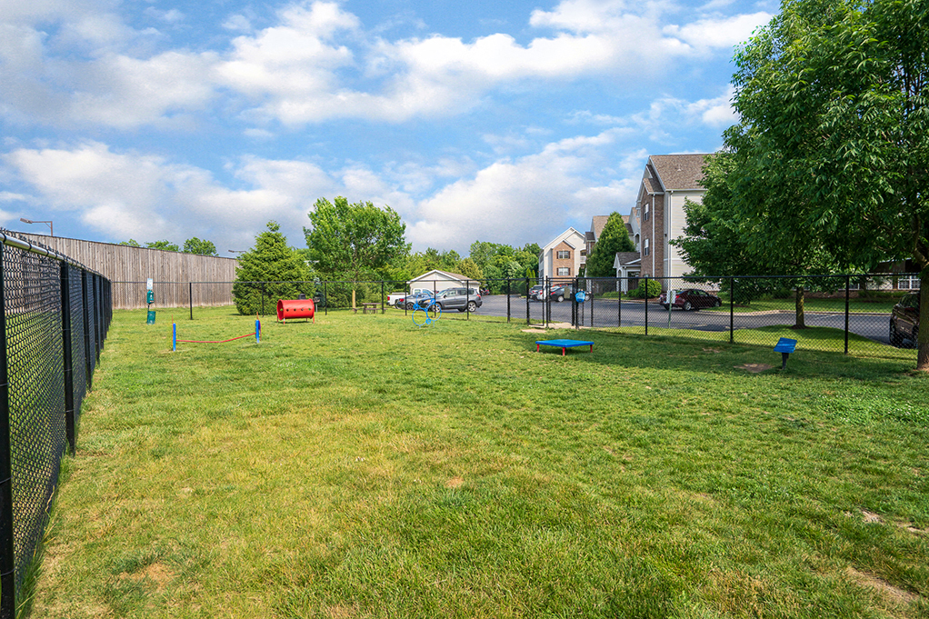 Off Leash Dog Park