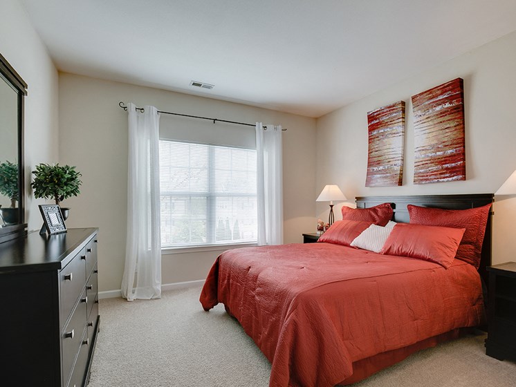 Carpeted Bedroom with Large Window