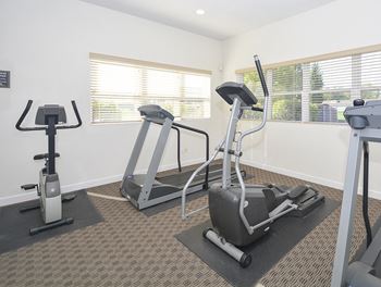 Cardio Equipment in the Fitness Center