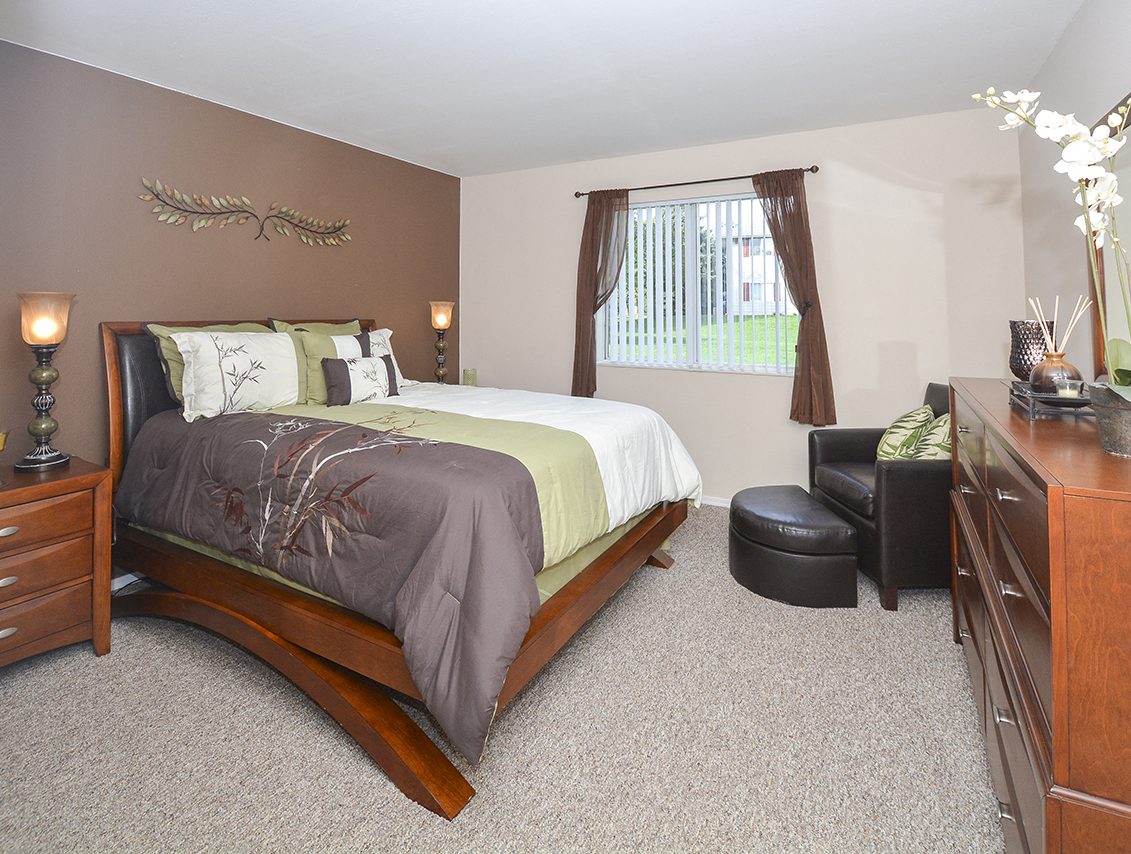 Spacious Bedroom with Brown Accent Wall and Large Double Window