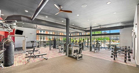 A gym with a variety of equipment including a punching bag.