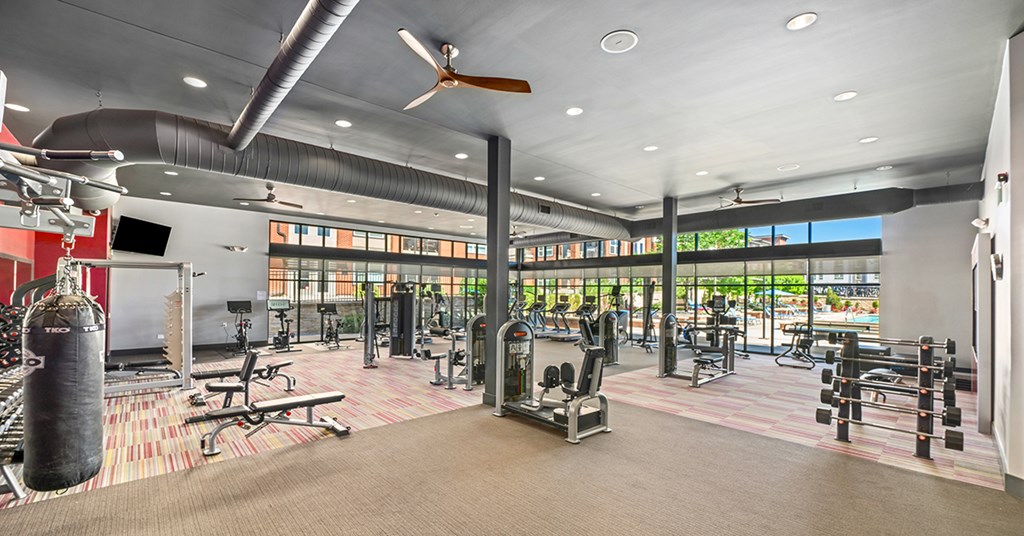 A gym with a variety of equipment including a punching bag.