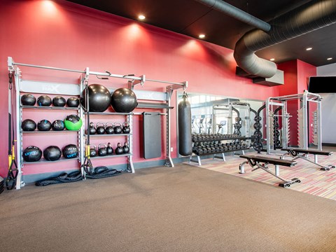 the gym at the flats at big tex apartments