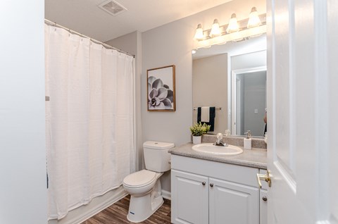 a bathroom with a shower and a toilet and a sink