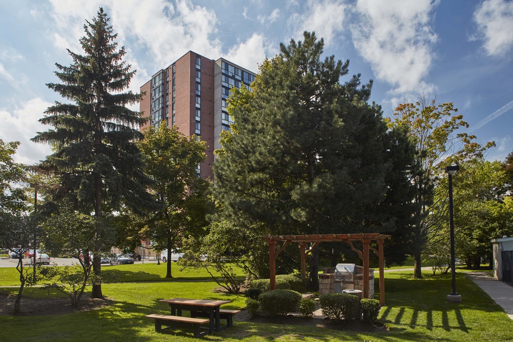 a park with trees and a wooden canopy
