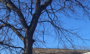 Apartments For Rent Near Joseph Hess Elementary School Hammond