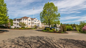390 Bee St 1-2 Beds Apartment for Rent - Photo Gallery 2