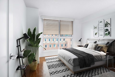 a bedroom with a bed and a large window and a plant