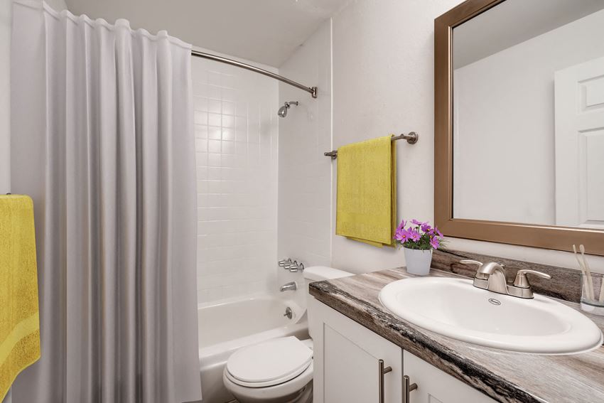 10400 W. 44th Avenue 1-2 Beds Apartment for Rent - Photo Gallery