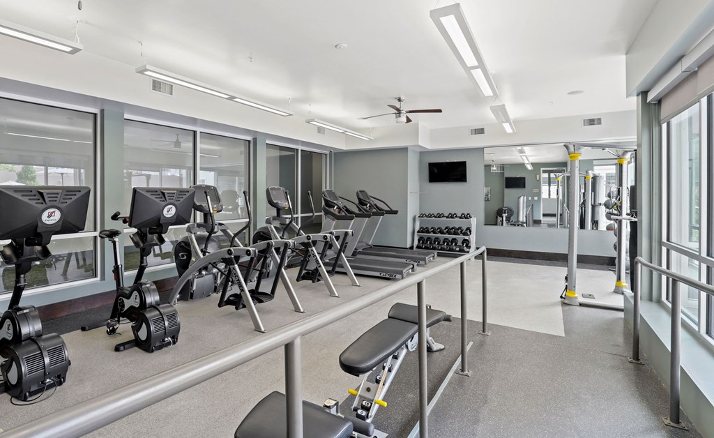 a gym with cardio equipment and windows in a building