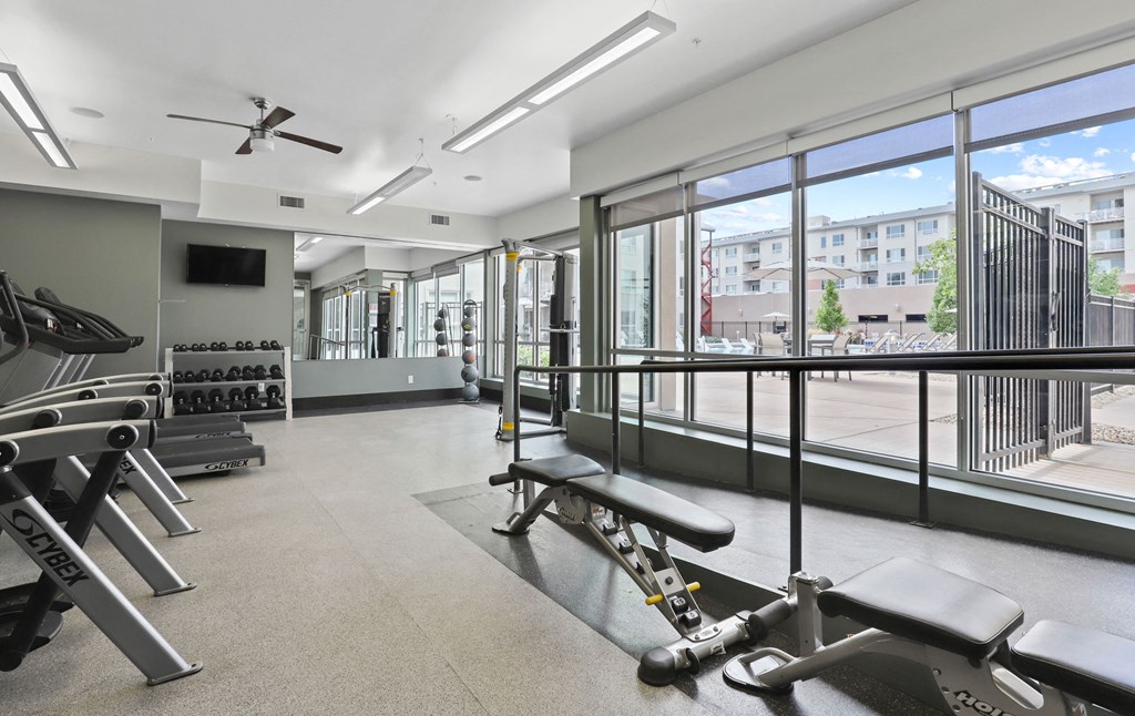 the gym is equipped with weights and cardio equipment and views of the city