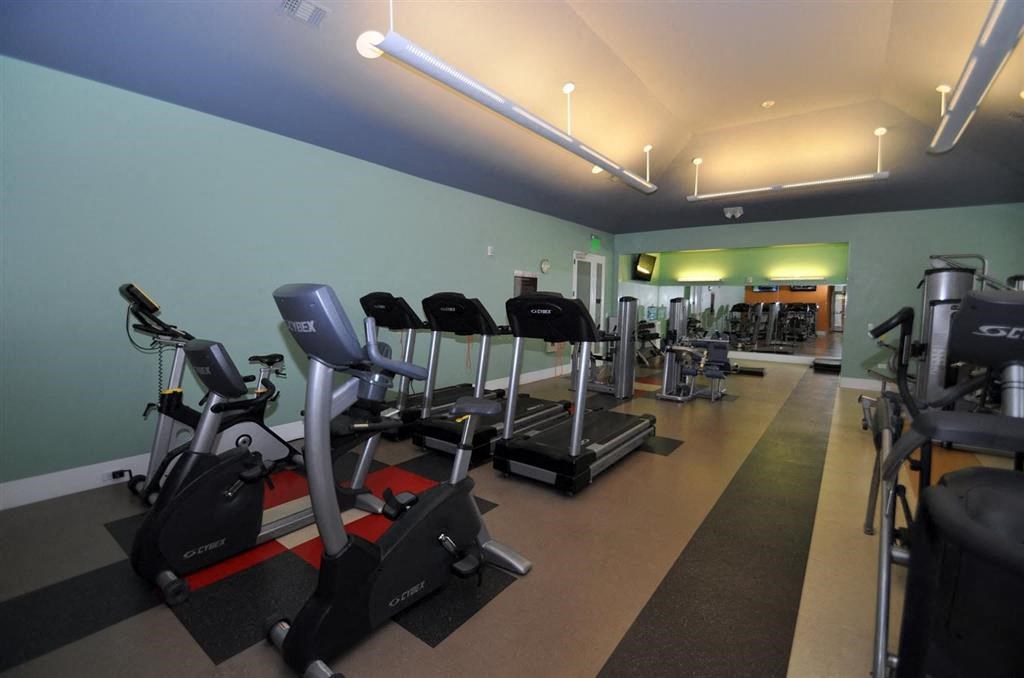 the gym is equipped with a variety of exercise equipment
