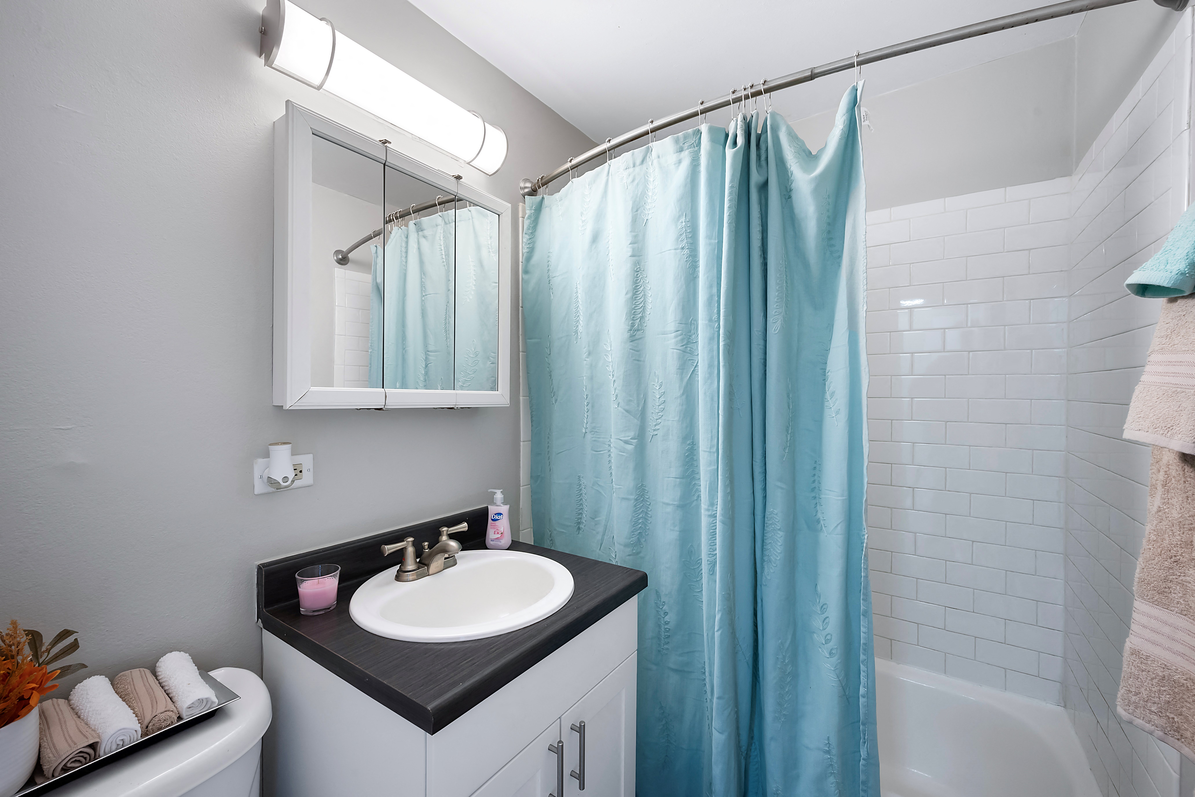 Apartments in Cheesman Park | Denver, Co. Apartments