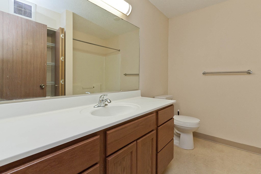 a bathroom with a sink and a toilet and a mirror