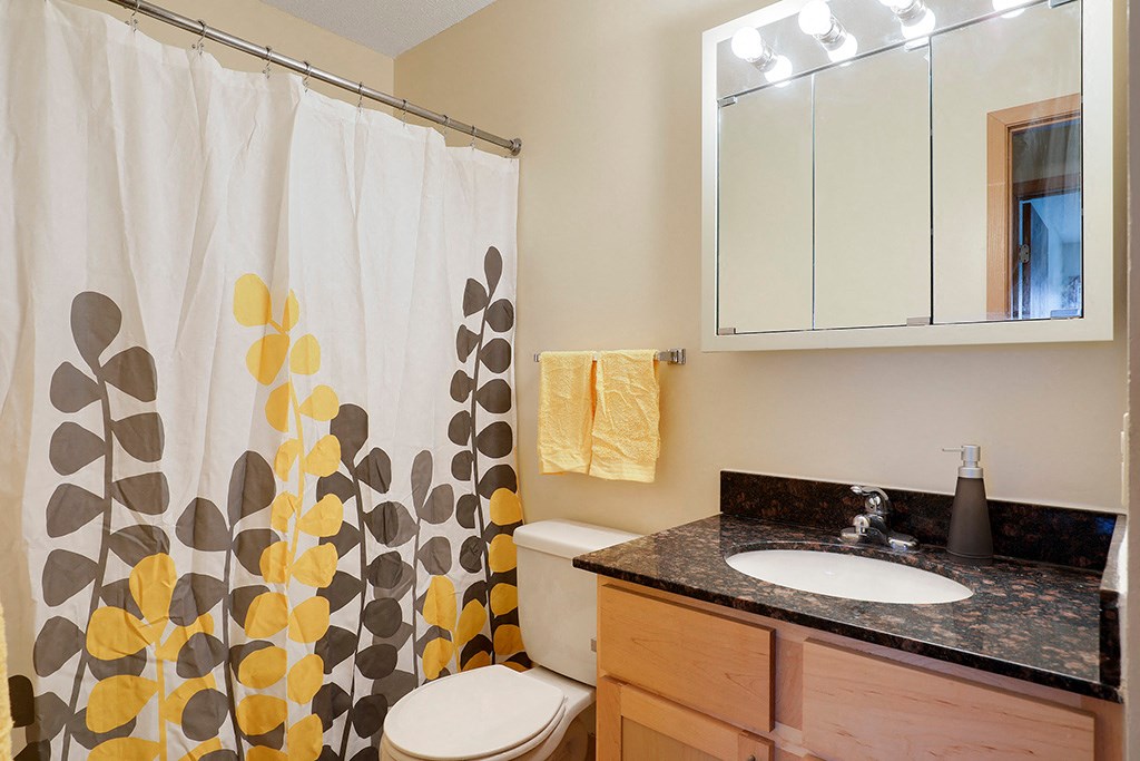 a bathroom with a shower curtain and a sink and a toilet