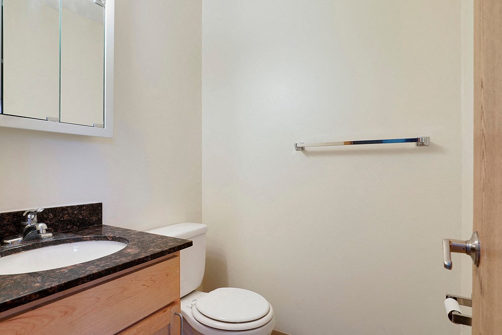 a bathroom with a toilet and a sink and a mirror