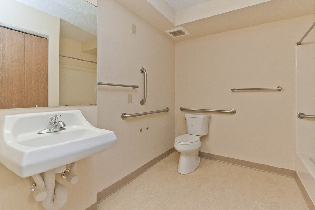 a bathroom with a sink and a toilet
