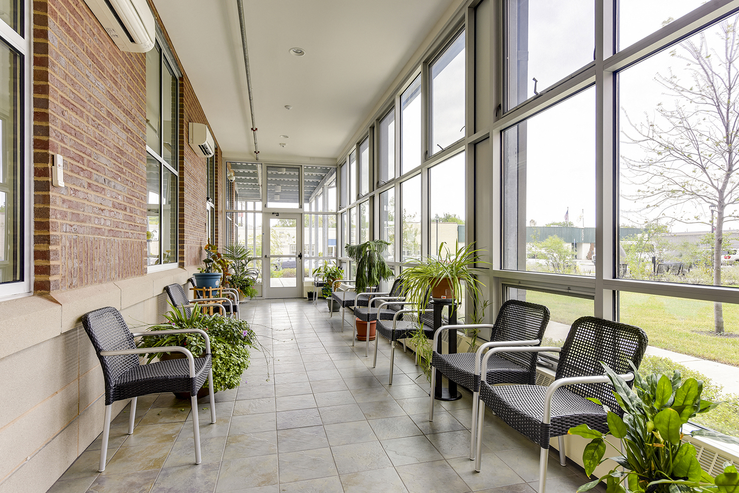 a lobby with chairs and plants and large windows