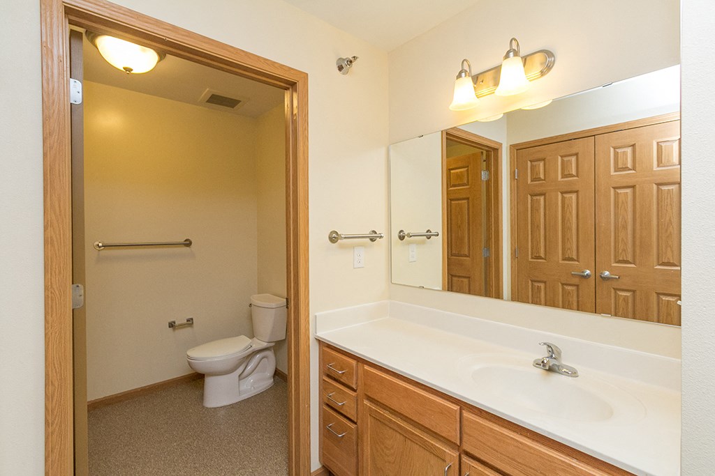 a bathroom with a sink and a toilet and a mirror