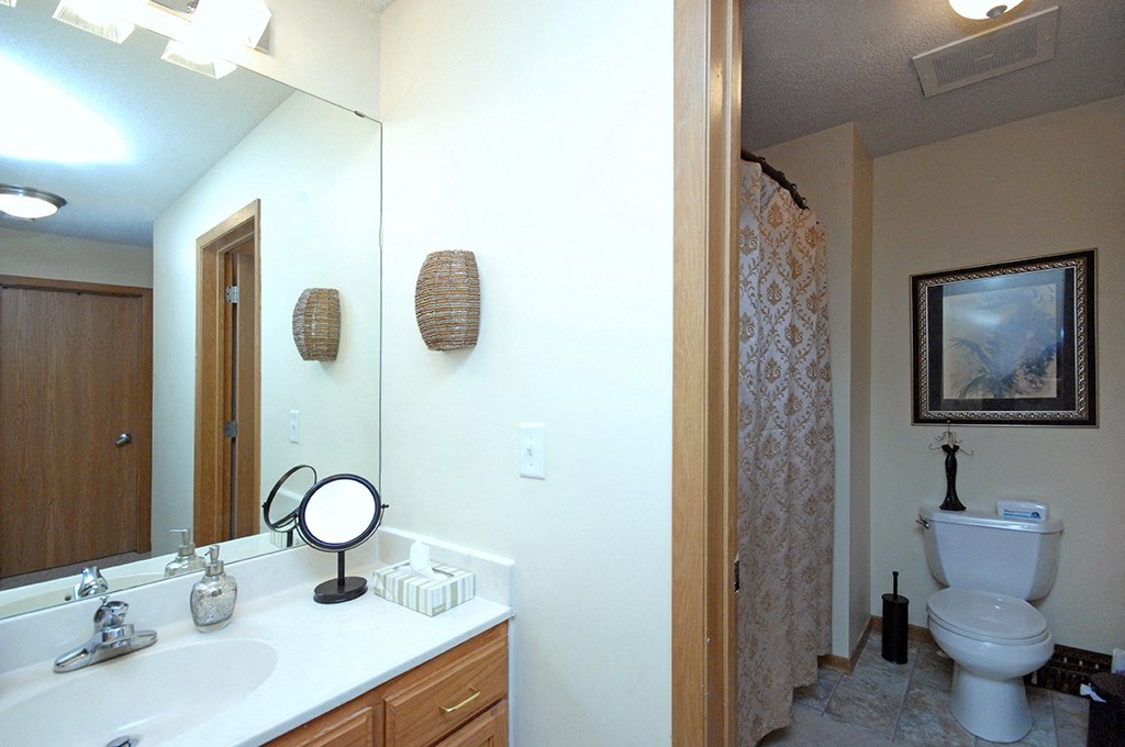 a bathroom with a toilet and a sink and a mirror