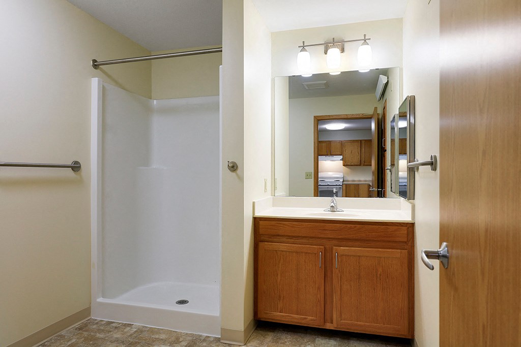 a bathroom with a sink and a shower and a mirror