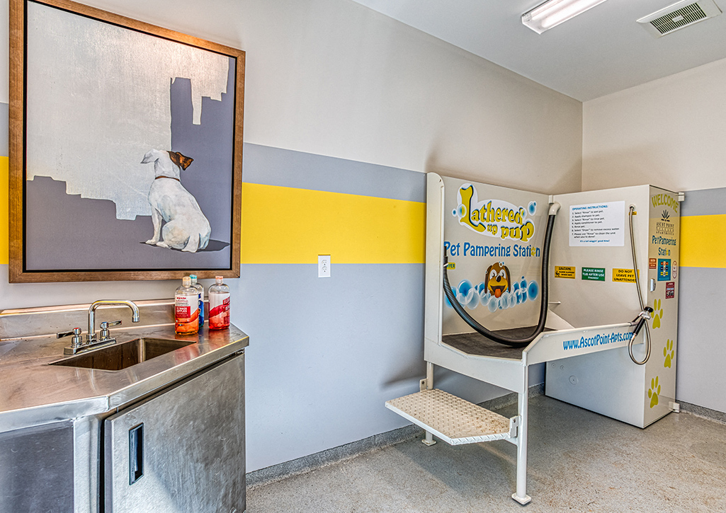 Ascot Point Village Apartments