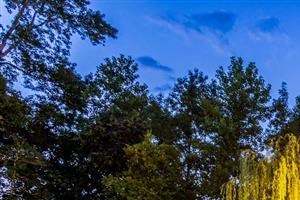 Fayetteville (NC) Apartments for Rent – RENTCafé Fayetteville (NC) Apartments for Rent – RENTCafé
