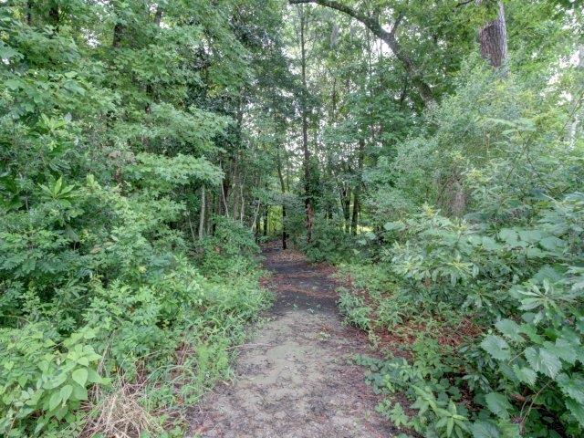 Boltons Landing Apartments