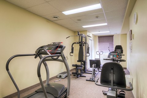 A gym room with a treadmill, weights, and exercise equipment.