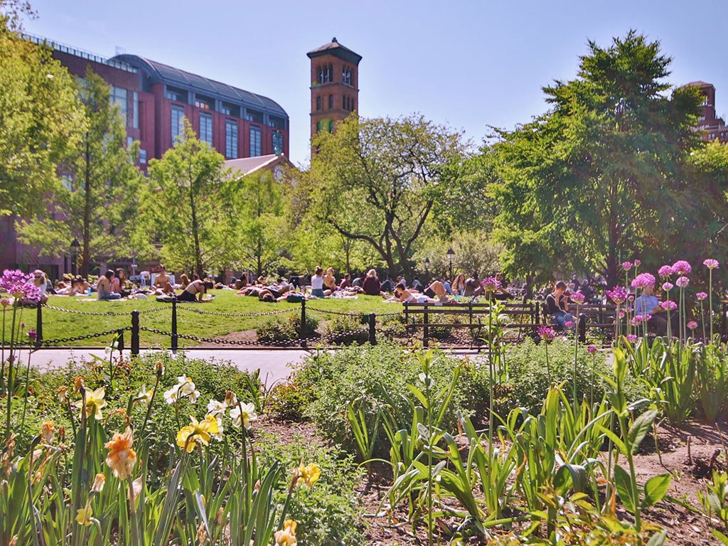 people sitting in a garden in a park