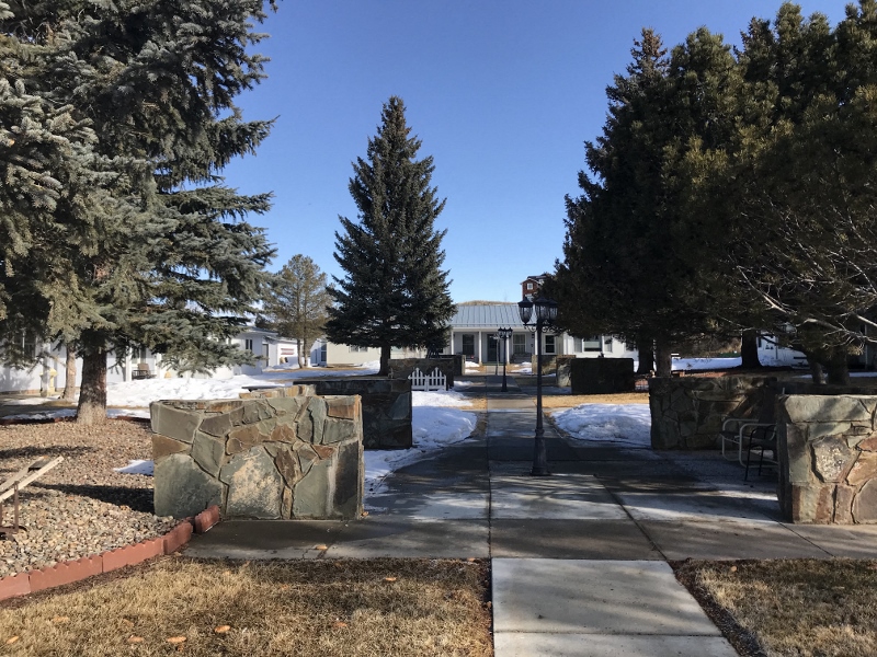 a park with trees and a building in the background