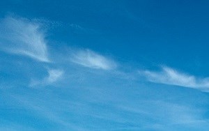 East Walnut Hills Apartments For Rent Cincinnati Oh Rentcafe