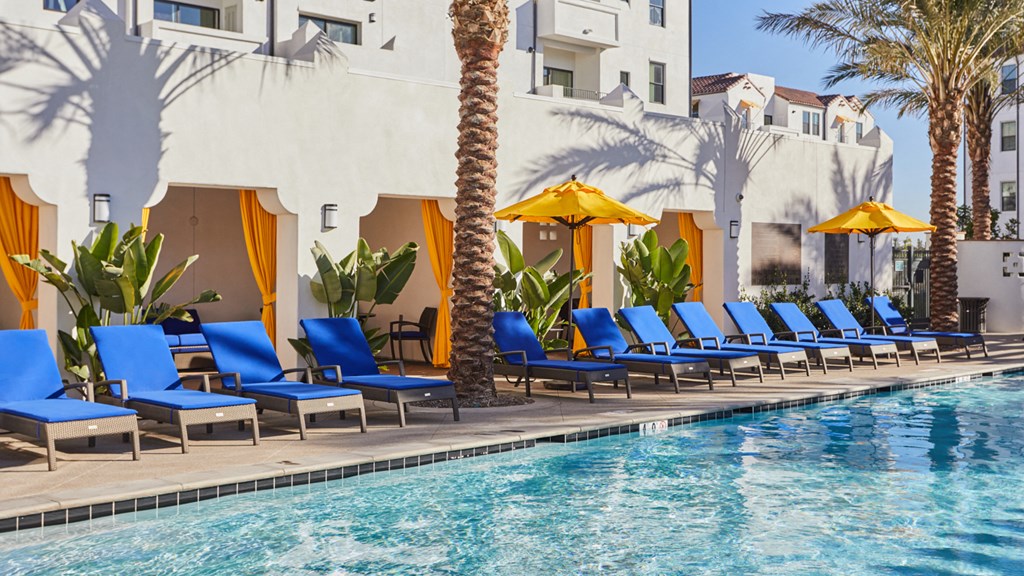 Pool and Lounge Chairs