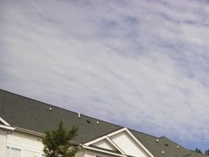 Pet Friendly Apartments For Rent In Durham Nc Rentcaf 233