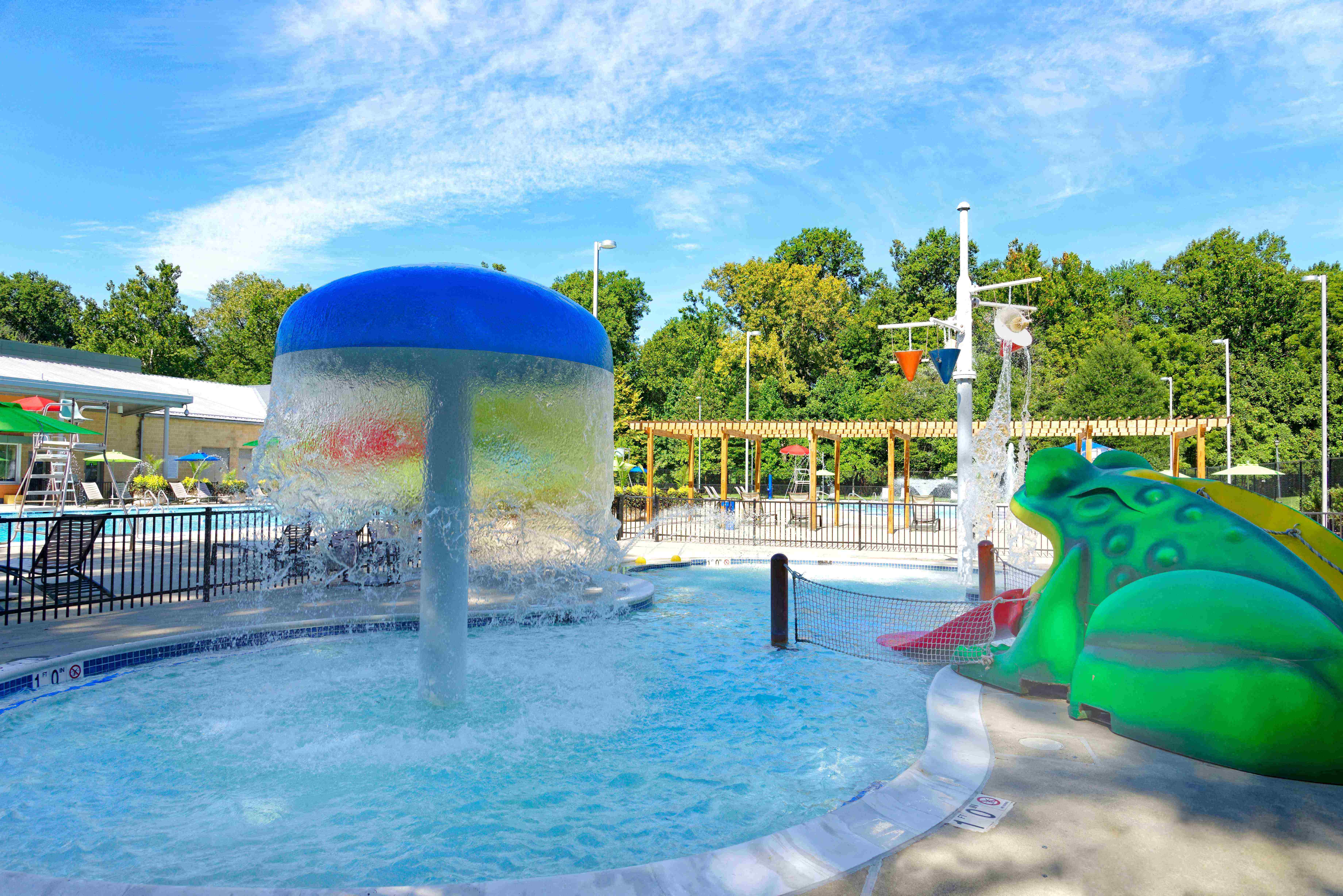 Kiddie pool with Frog Slide