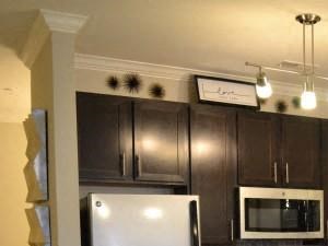 Apartments In Charlotte
