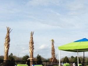 Apartment Rentals In Charlotte Nc Horizons At Steele Creek