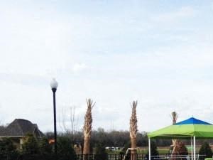 Apartment Rentals In Charlotte Nc Horizons At Steele Creek