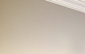 apartments in raleigh nc maystone at wakefield home