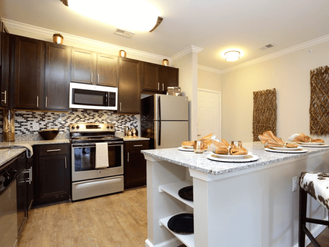 Luxury Kitchen Appliances at Arrington Ridge, Round Rock - Photo Gallery 1