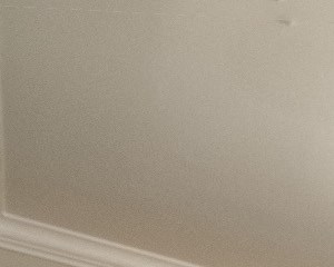 Asheville Apartments For Rent Greymont Village Photo Gallery