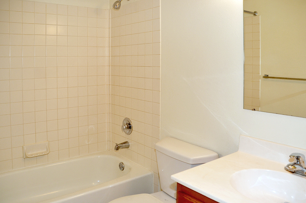 a bathroom with a sink toilet and bath tub and a sink and a mirror