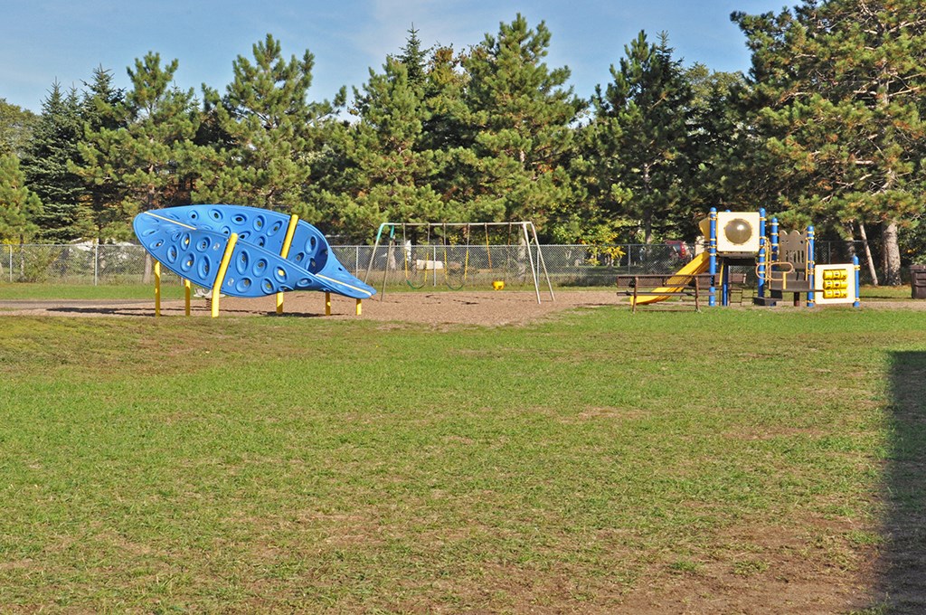 a playground with a blue rock slide and other playground equipment