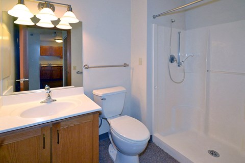 Bathroom at Mount Carmel Manor, Minnesota, 55118