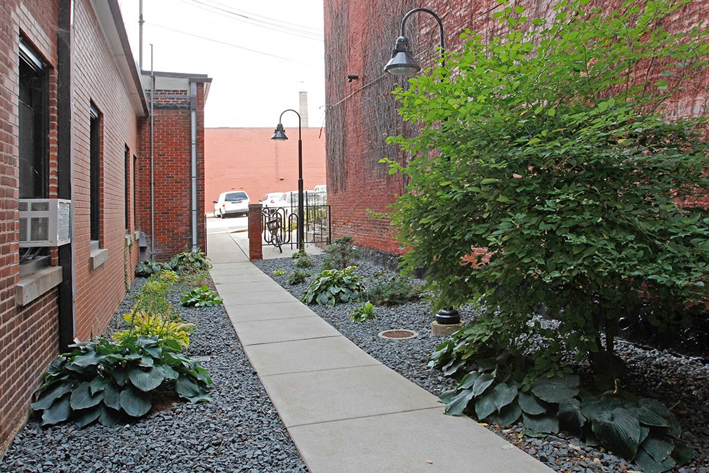 the side yard of a building with plants and a sidewalk