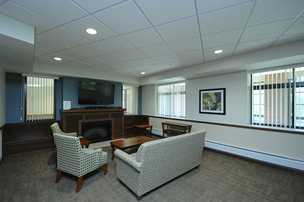 a living room with couches and a tv and a fireplace