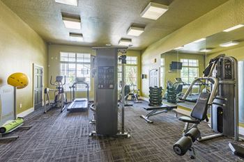 gym at Rivertree Apartments, Florida, 33578
