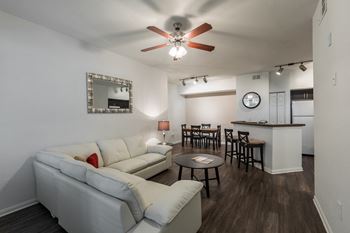 Ceiling Fan and light at Rivertree Apartments, Riverview, 33578