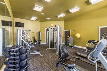 gym equipment at Rivertree Apartments, Riverview, FL, 33578